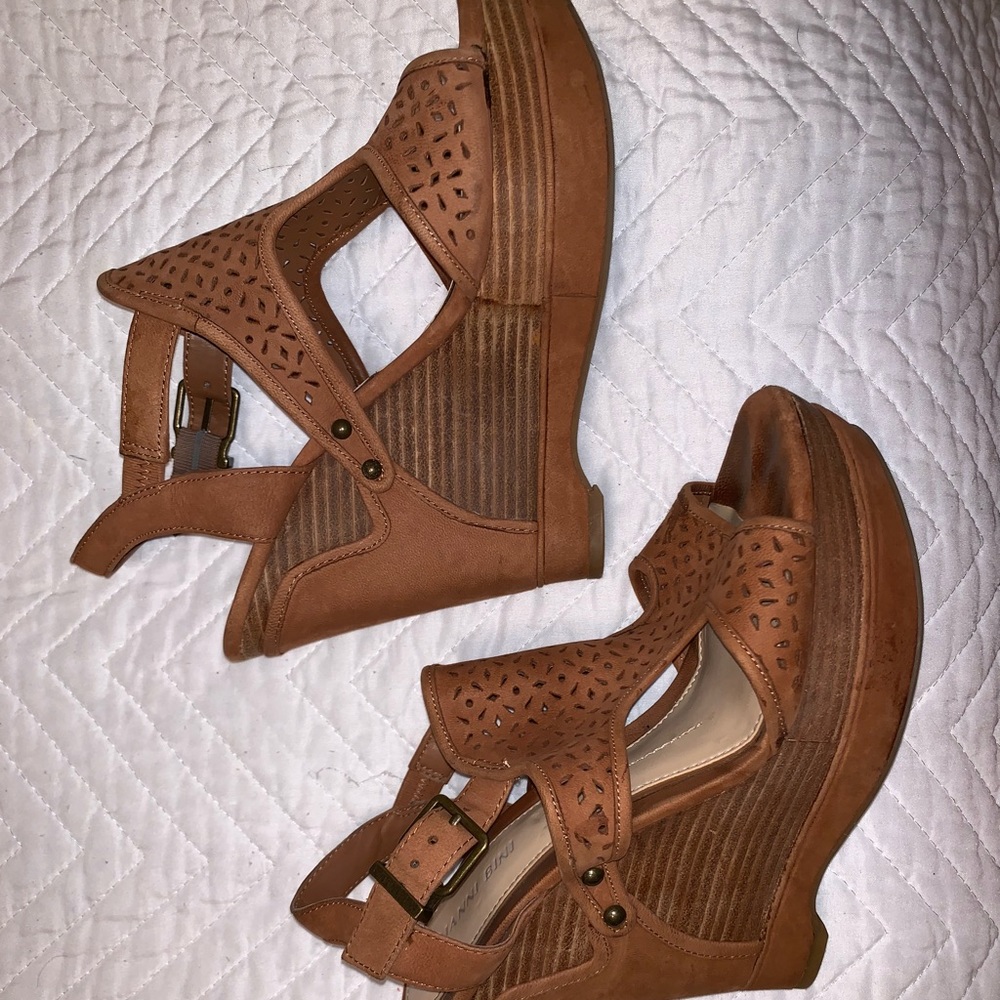 gianni bini geeks